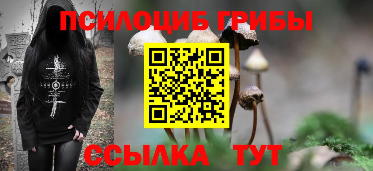 Галлюциногенные грибы прущие грибы  Галлюциногенные грибы Cubensis  Биробиджан  Вход с VPN 