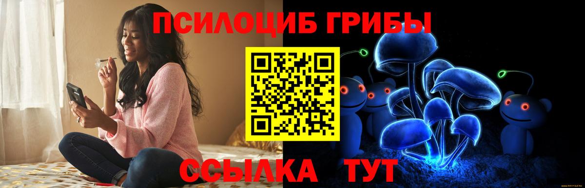 Галлюциногенные грибы прущие грибы Биробиджан